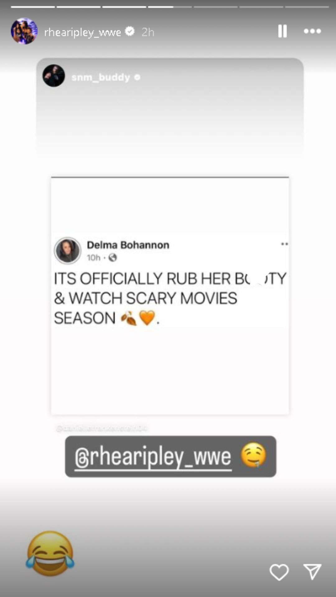 A screengrab of the Instagram story.